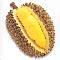 durian