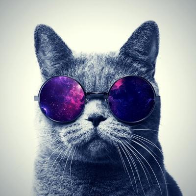 Михаил Иванов